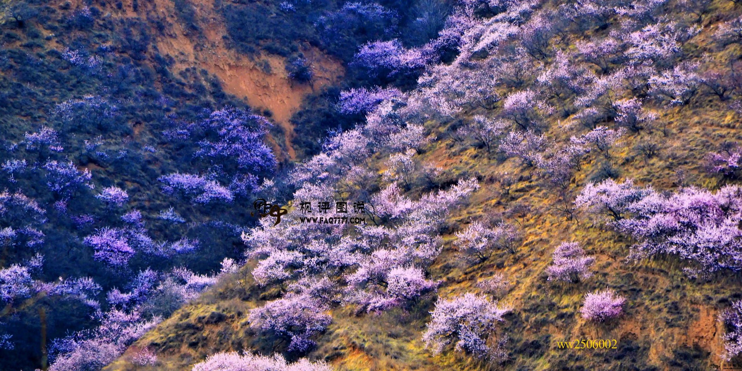 故乡的影子，不多不少，半夜梦乡